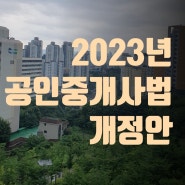 2023년 공인중개사 법 개정안