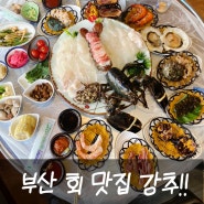 230526 ~ 0527 부산맛집 송도해수욕장 동해횟집 회와해산물을 한번에 끝장내주는 곳 !!