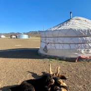 23년 6월의 몽골 여행기 🐴 5일차/2 - Goviin Urguu camp