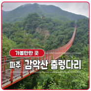 장마 중 파주 감악산 출렁다리 구경