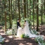 제주도 스몰웨딩, 숲속에서 하객없이 단 둘만의 결혼식으로 하다.