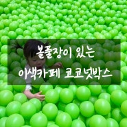 서울 실내 아기랑 가볼만한 곳 <홍대 코코넛박스> 이색적인 느낌 물씬!