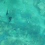 다낭에서 제일 이쁜 바다를 볼 수 있는 다낭 참섬 호핑투어
