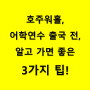 호주워홀, 어학연수 출국 전, 알고가면 좋은 3가지 팁!