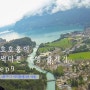 스위스 여행 인터라켄 패러글라이딩 액티비티로 인생샷 | 서유럽여행코스 Interlaken