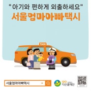 아꼬일기10_임신 중 확인사항 : 지자체②(산후도우미서비스 본인부담금 지원, 출산축하용품(육아용품)지원, 서울엄마아빠택시, 서울시 임산부 대중교통비지원 등)