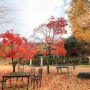 [옥천 장자마을 카페빌리지] 편안하게 산책하는 정원, 옥천 가을여행