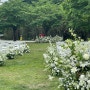 마포평화의공원 결혼식꽃장식 , 웨딩디렉팅 , 소풍결혼식 , 어나더블룸