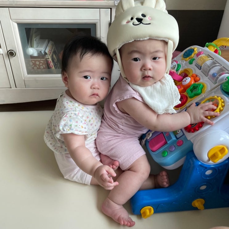 [8개월 쌍둥이]여전히 대전에서 생활중