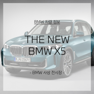 2024 신형 BMW X5 LCI / 페이스리프트 살펴보자!