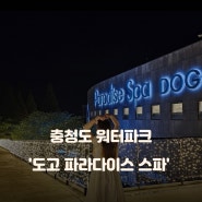 충청도워터파크 파라다이스스파도고 나이트스파 후기