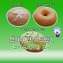크리스피크림 도넛 탐방기 - '우유크림듬뿍 도넛', '여름 신메뉴 플로팅 터틀', '미니 오리지널 글레이즈드 도넛'