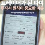 트레이더(?)가 된 파미의 근황 : 투자에 원칙이 중요한 이유 (+미국 주식 계좌 공개)