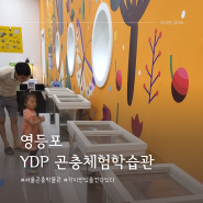 YDP곤충체험학습관 - 아이랑 비오는 날 곤충박물관 실내데이트