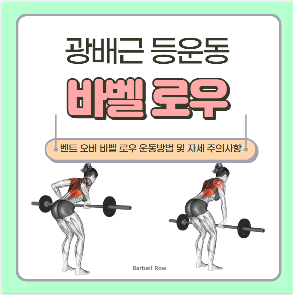 벤트 오버 바벨 로우 운동방법 및 자세 주의사항(그립, 자극위치, 허리부담, 광배근) : 네이버 블로그