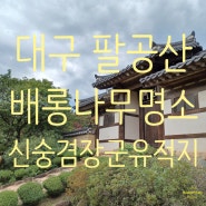 신숭겸장군유적지 대구배롱나무명소의 두번째!