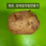 학교 과제 감자요리 대회