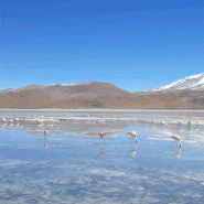 [볼리비아] 우유니 소금사막 2박3일 투어, 칠레 국경넘기 ②
