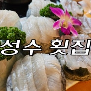 성수 횟집 맛좋은 광어 우럭회 한접시 추천