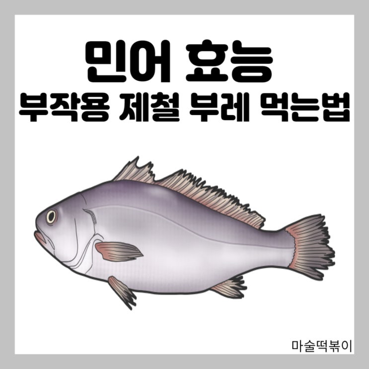 민어 효능 부작용 민어철 민어 부레 먹는법 : 네이버 블로그