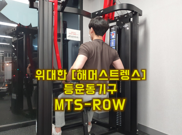 최고의 등 운동기구 [해머스트렝스 MTS-로우][파주헬스/교하헬스/파주pt/교하pt] : 네이버 블로그