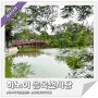베트남 여행 날씨 하노이 여행코스 응옥썬 사당 입장료 및 호수