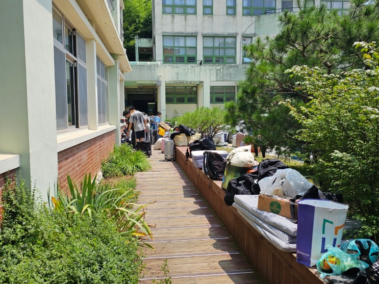 큰 딸이 돌아왔다 (풀무학교 여름 방학) : 네이버 블로그