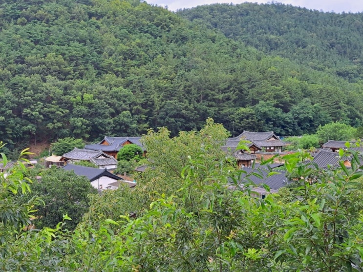 옻골마을 (자연생태, 사회생태, 인문생태를 완벽하게 갖춘 곳)