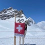 스위스 융프라우 여행 가격 할인, 신라면 쿠폰, 날씨