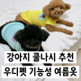 강아지쿨나시 대형견도 가능한 우디펫 기능성 여름옷