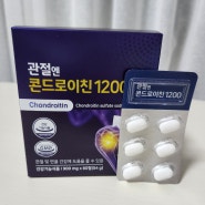 지성 모델 관절엔 콘드로이친 1200 부모님 선물 선택 이유, 성분, 함량 확인