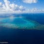 밍키(Minke whales)와 함께 한, 대산호초(Great Barrier Reef)에서의 다이빙 영상! (2023년 7월)