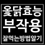 옻닭효능 부작용 올바르게 먹는법