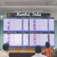 인도 뭄바이 자유여행 ❙ 에어인디아 국내선 델리-뭄바이 AI624편 비즈니스 클래스 탑승 후기 (인도 국내선 환승, 델리 공항 라운지, 뭄바이 공항에서 시내 우버/올라)