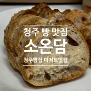 [디저트/매장] 청주 빵집 디저트 맛집 '소온담'