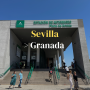 스페인 여행 / 세비야에서 그라나다 버스 이동 예약방법 및 Alsa 후기 (+Omio 어플)
