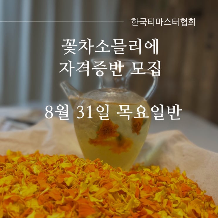 꽃차소믈리에 1급 자격증반 모집! 8월 31일 목요일반. 총 12회 하루 2회씩 6주완성. 힐링클래스! 유망직종! 정원 식물 ...