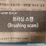 브러싱 스캠(Brushing scam)