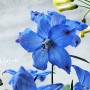 파란꽃 델피늄 꽃말 키우기 델피니움 베란다식물 베란다정원 봄에피는꽃 4월탄생화~