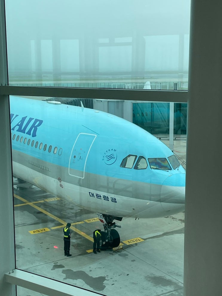 인천국제공항 제2여객터미널 대한항공 인천(ICN) -> 런던(LHR) KE907 기내식 좌석 후기 : 네이버 블로그