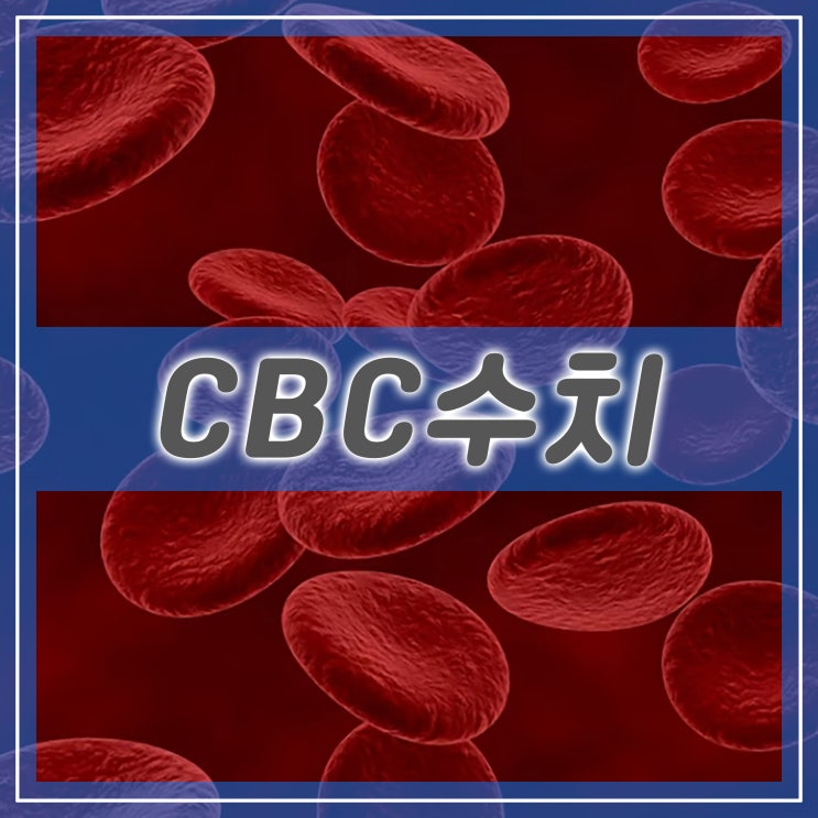 CBC 정상수치와 검사, 혈액 속 성분 백혈구 혈소판 헤모글로빈 : 네이버 블로그