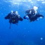 스쿠버다이빙을 시작하는 다이버들에게 도움이 될 만한 스쿠버다이빙 장비 이야기 : 듀이(DUI) 드라이슈트 편