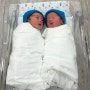 쌍둥이 출산 삼형제되다