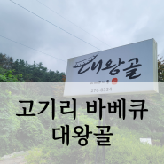 용인 고기리 바베큐 대왕골 아이랑 계곡 물놀이 하기 좋은 곳