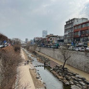 [한국여행] Day 8: 광장시장/북촌한옥마을/차마시늘뜰/차뮤지엄