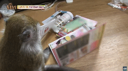 (응?) 배달앱 없던 시절 모습.gif : 네이버 블로그