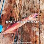 통영 미라클호 이카메탈 오모리그 한치 낚시 조황