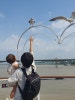 여의도 한강 크루즈 이랜드크루즈 평일 한강투어 아기랑 (주차, 할인, 갈매기 먹이주기) : 네이버 블로그 여의도 한강 크루즈 이랜드크루즈 평일 한강투어 아기랑 (주차, 할인, 갈매기 먹이주기) : 네이버 블로그