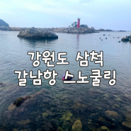 삼척 스노쿨링 갈남항 주차 샤워장 아이와 함께 물놀이하기 좋은 바다