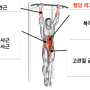 행잉 레그레이즈 뜻과 운동 근육